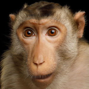 Meet your Posher, August a